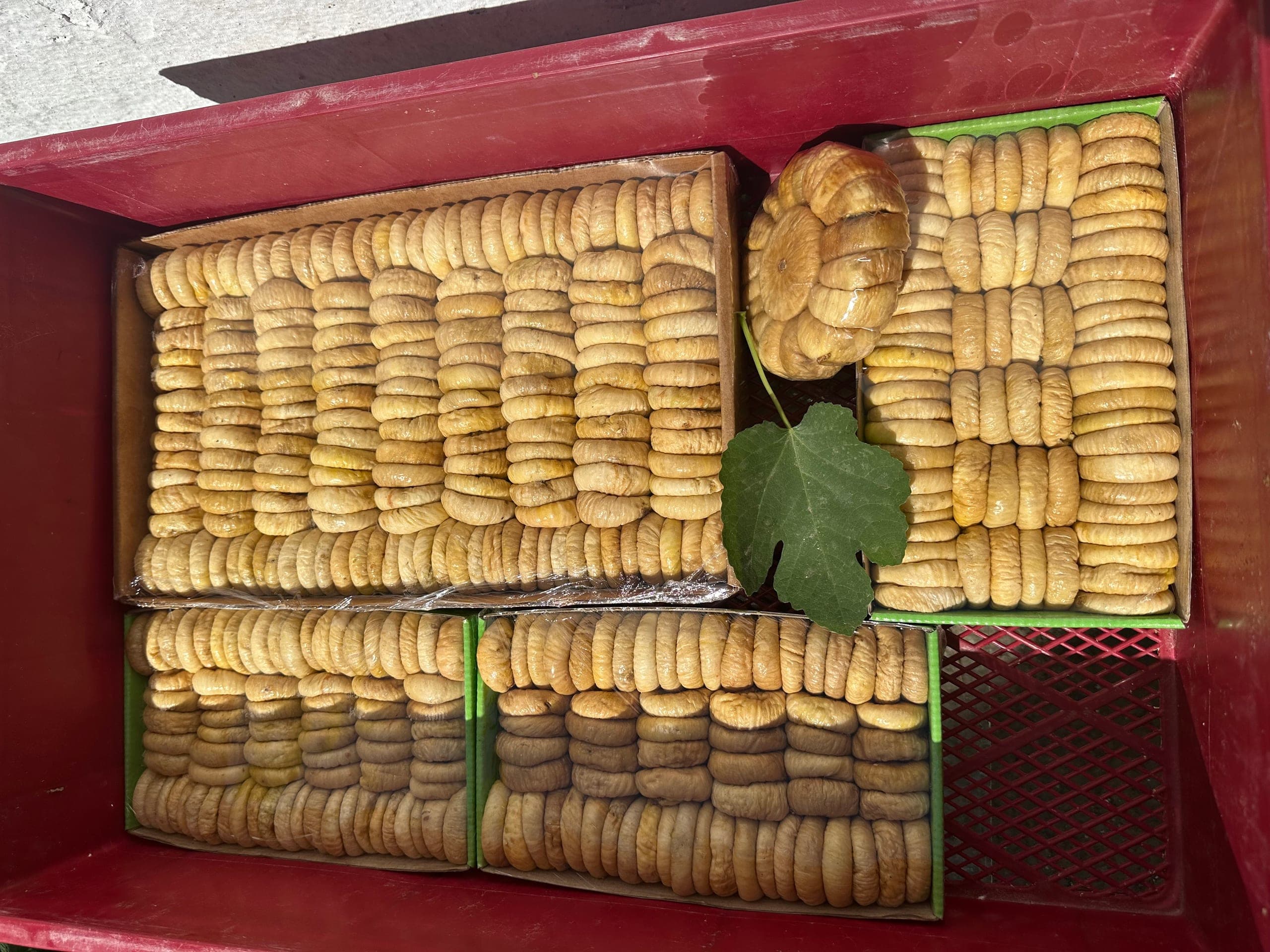 Dried Figs - 1
