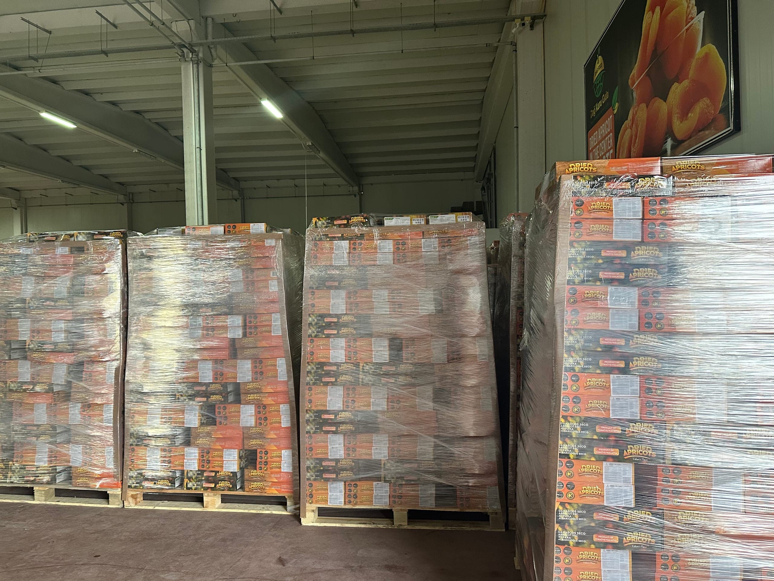Container Loading- 3