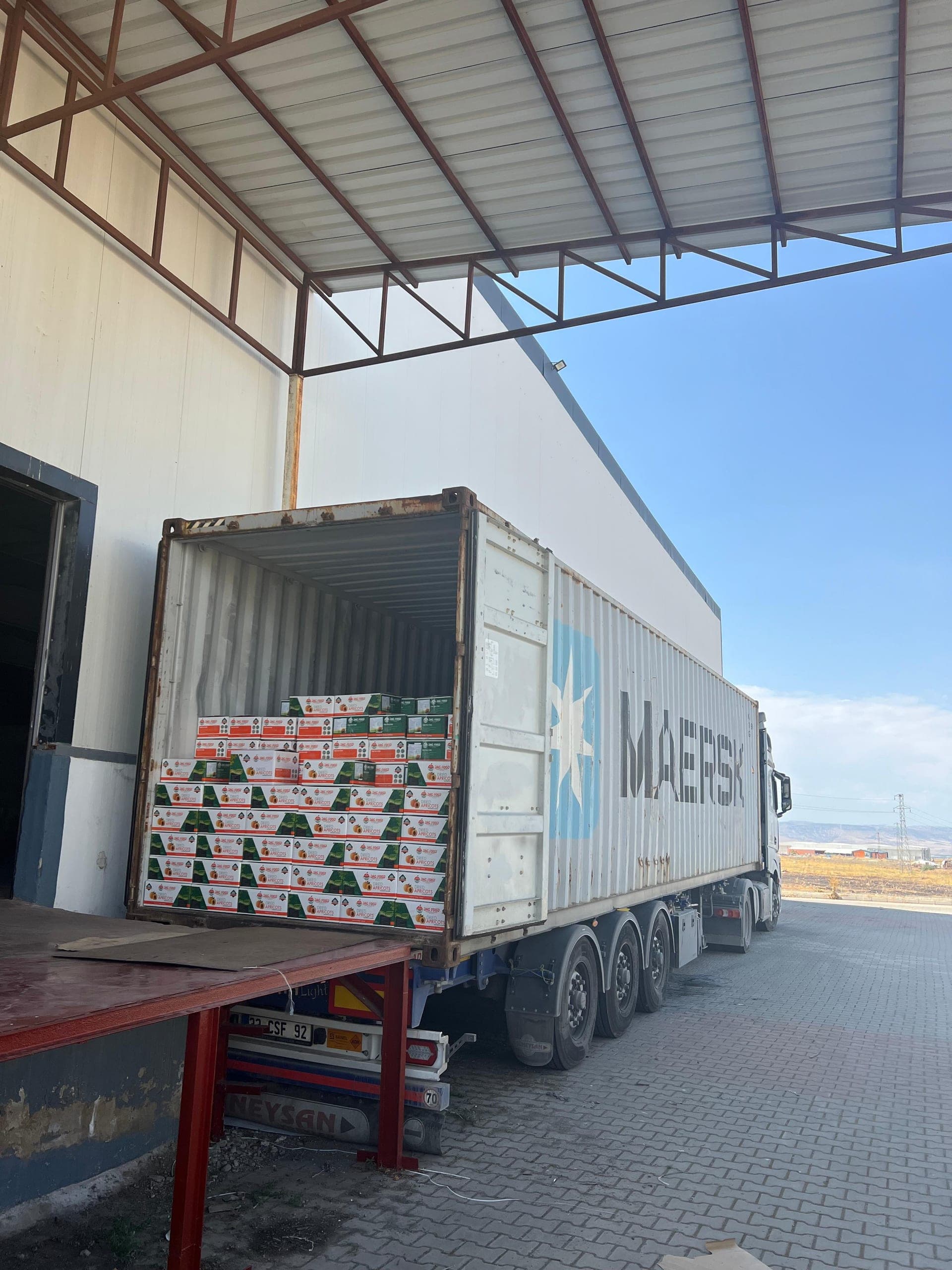 Container Loading- 1